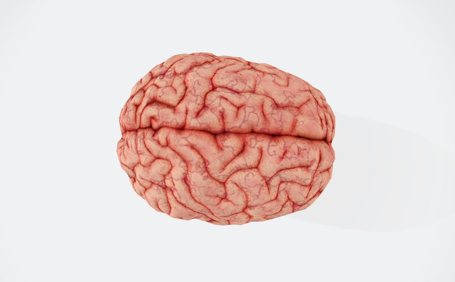 Το Νο1 βότανο κατά της άνοιας