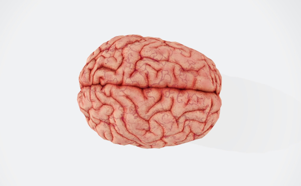 Το Νο1 βότανο κατά της άνοιας