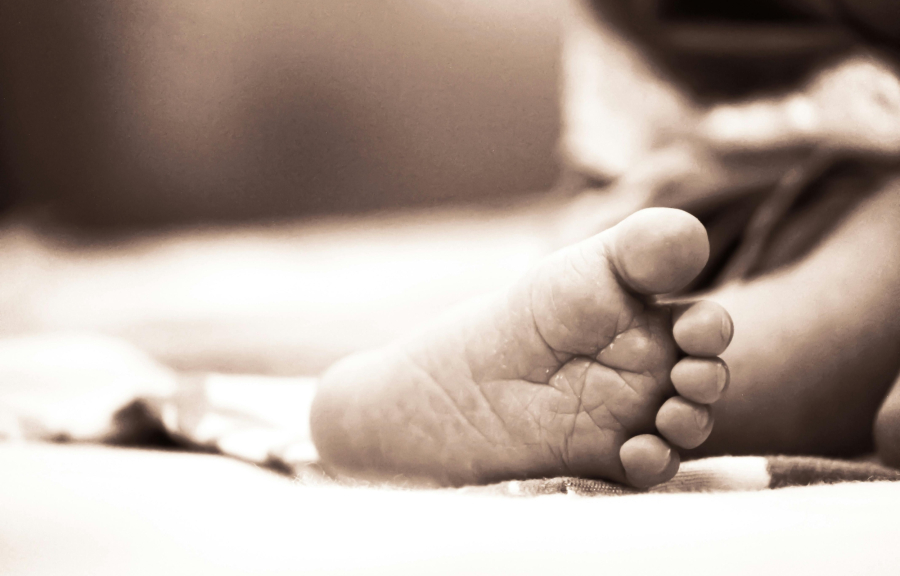 Νεκρά βρέφη στην Αμαλιάδα: «Καταπέλτης» ο διάσημος Γερμανός ιατροδικαστής για τον Παναγιωτάκη