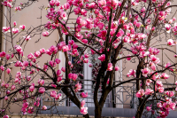 Η πρώτη εκτίμηση για τον καιρό του Πάσχα 2026