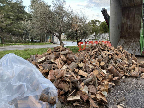 Δήμος Γλυφάδας: Μάζεψαν τα σπασμένα δέντρα από την κακοκαιρία και τα διανέμουν δωρεάν στους δημότες