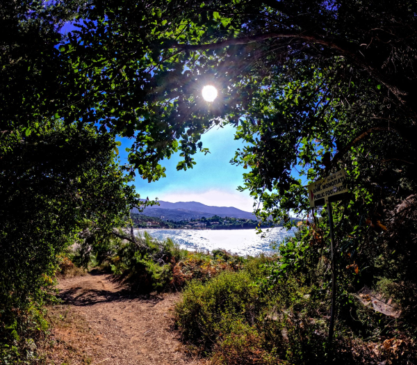 Καιρός: Ελαφρύ βοριαδάκι, τοπικές βροχές αλλά και 38άρια στο «αντίο» του Ιουλίου