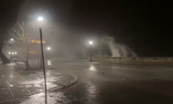 Κέρκυρα: Πτώσεις δέντρων και διακοπές ρεύματος από την κακοκαιρία (Βίντεο)