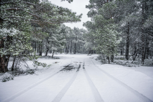 Πότε θα χτυπήσει την Ελλάδα «βαρυχειμωνιά»: Νέα πρόγνωση Μαρουσάκη