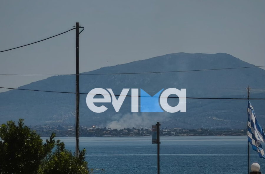 Υπό έλεγχο η φωτιά στην Εύβοια