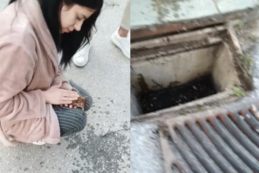 Θεσσαλονίκη: 21χρονη νοσηλεύτρια επανέφερε γατάκι που βρήκε σε φρεάτιο (Βίντεο)