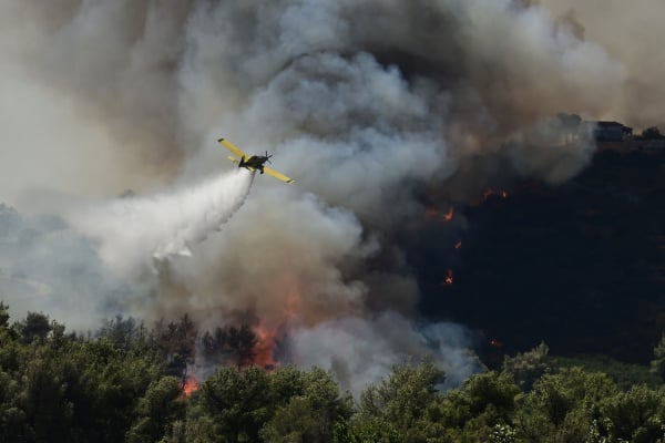 Φωτιές: Στο περιθώριο τα επιστημονικά δεδομένα στην Ελλάδα - 3 φορείς αποκαλύπτουν τα κενά