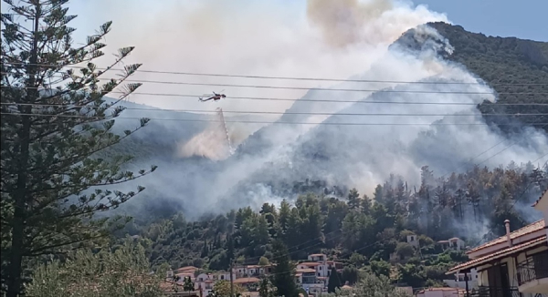 Φωτιά τώρα: Οριοθετημένα τα μέτωπα σε Μελιγαλά, Τροιζήνα και Πρέβεζα (Εικόνες - Βίντεο)