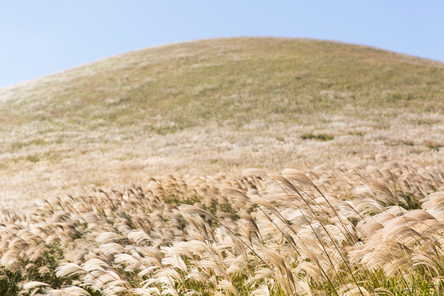 WWF σε Dnews: Το δύσκολο μονοπάτι της βιώσιμης ανάπτυξης