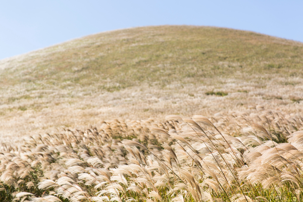 WWF σε Dnews: Το δύσκολο μονοπάτι της βιώσιμης ανάπτυξης