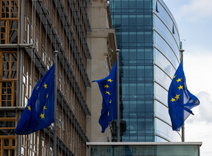 Πέταξαν τα ακουστικά κι έφυγαν οι διερμηνείς-Στα...κρύα του λουτρού η Ευρωβουλή