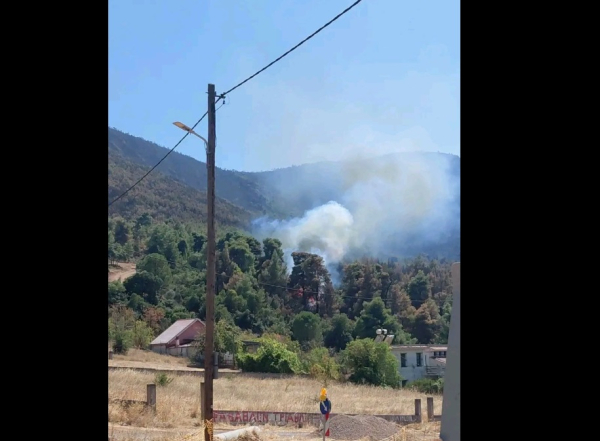 Φωτιά στη Δυτική Αττική: «Μάχη» με τις αναζωπυρώσεις σε Κρύο Πηγάδι, Σκλαβούνι και Προσήλι (εικόνες)