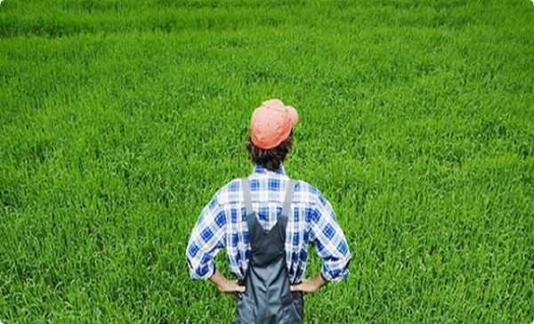 Μόνο το 15% των αγροτικών συνεταιρισμών είναι «ενεργοί»