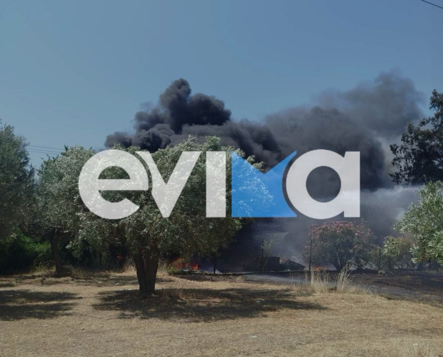 Φωτιά τώρα στην Εύβοια