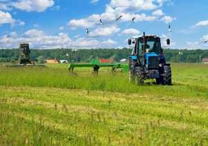 ΕΛΓΑ: Aποζημιώσεις 11,8 εκατ. ευρώ σε 7.379 αγρότες