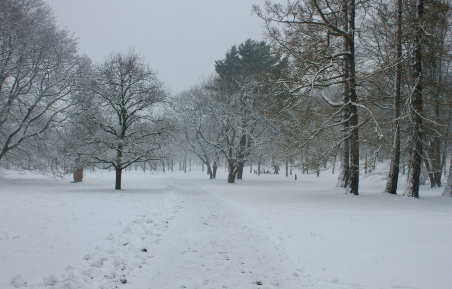 Ποδαρικό για το 2026 με τσουχτερό κρύο και χιόνια - Στα λευκά Πάρνηθα και Εύβοια