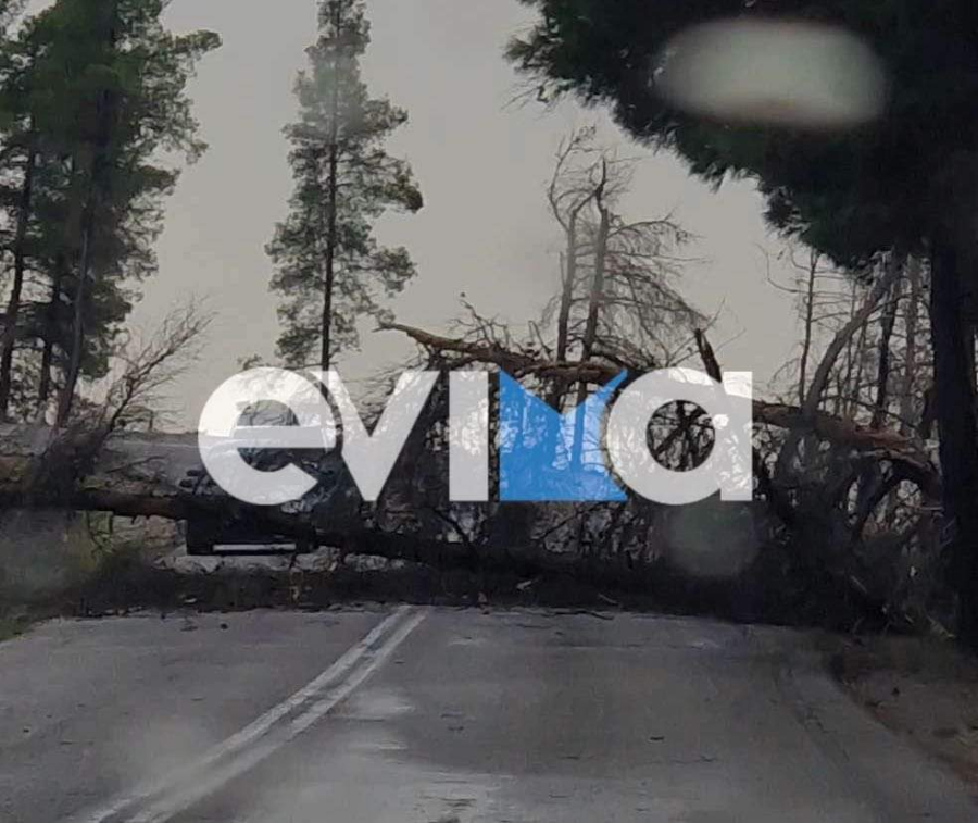 Στο έλεος της κακοκαιρίας Elena η Εύβοια - Χωριά χωρίς ρεύμα - Κόπηκε στα δύο δρόμος