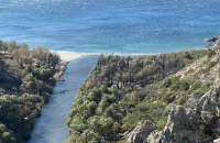 Φωτιά στο Ρέθυμνο: Η καταστροφή στο φοινικόδασος στην Πρέβελη (Εικόνες και βίντεο)