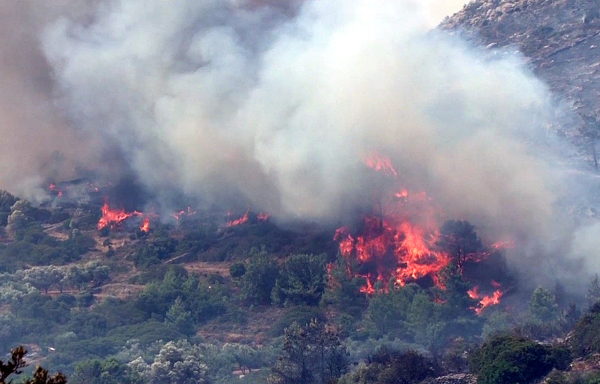 Φωτιά στη Χίο: Ήχησε ξανά το 112