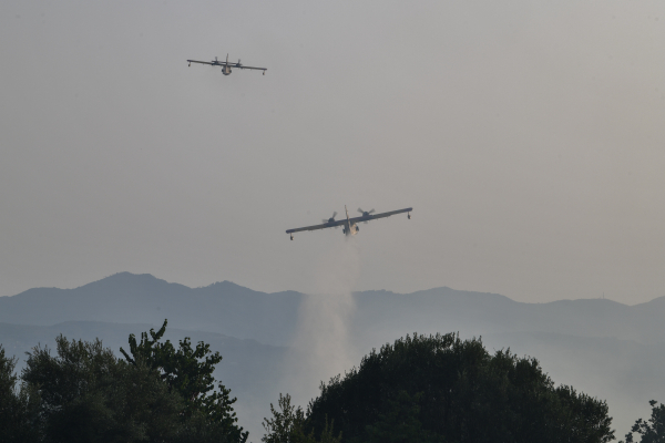 Χαλκιδική: Φωτιά καίει δάσος σε δύσβατη περιοχή πολύ κοντά στον Νέο Μαρμαρά