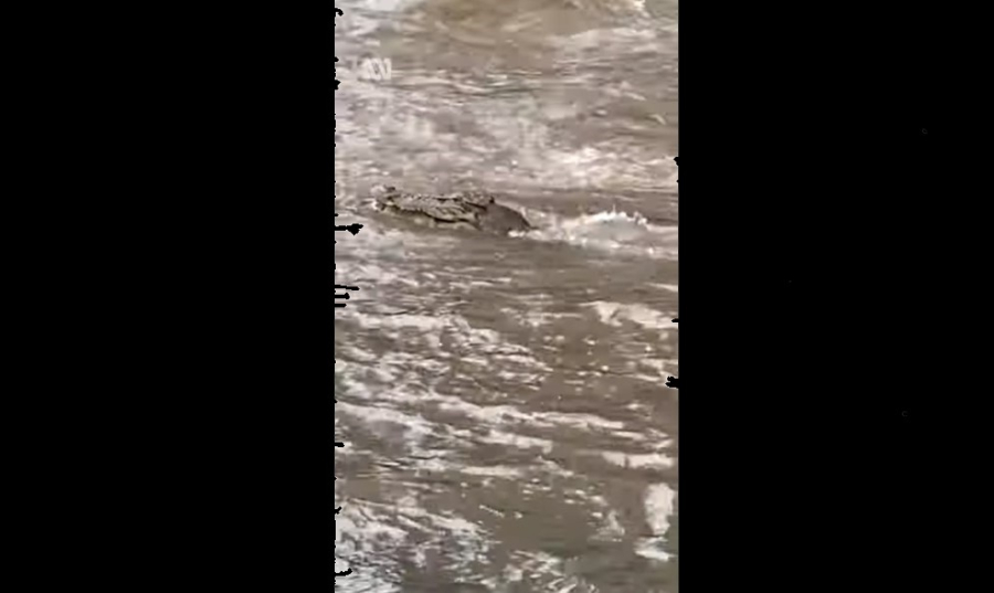 Πλημμύρες στην Αυστραλία: Έκλεισε το αεροδρόμιο και οι κροκόδειλοι «βγήκαν» στους δρόμους