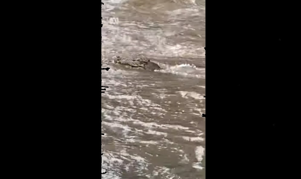 Πλημμύρες στην Αυστραλία: Έκλεισε το αεροδρόμιο και οι κροκόδειλοι «βγήκαν» στους δρόμους