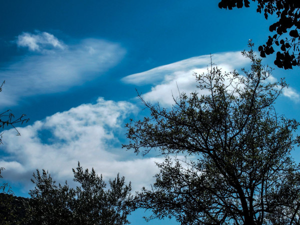 Καιρός: Ανοιξιάτικος ...Δεκέμβρης - Στους 20 βαθμούς το θερμόμετρο αύριο Τρίτη
