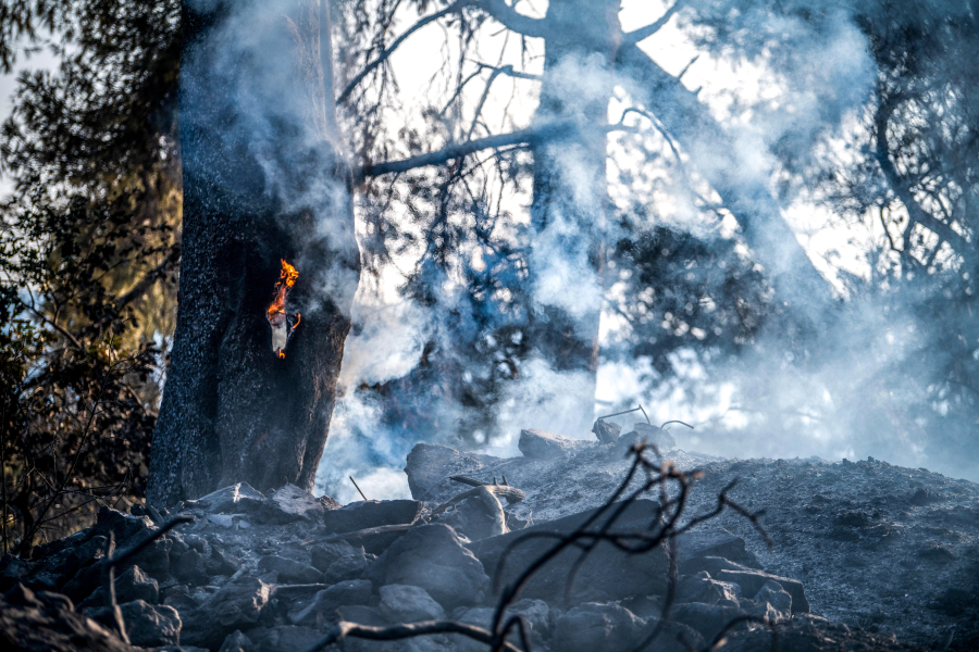 Φωτιά τώρα στη Θεσσαλονίκη κοντά στη Βόλβη