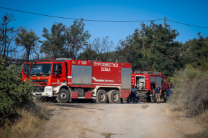 Δύο συλλήψεις στην Αττική για παραβάσεις πυροπροστασίας εν μέσω υψηλού κινδύνου