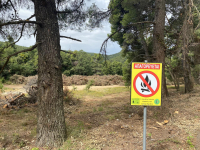 Πυροπροστασία... για φυλακή: Οδοιπορικό του Dnews, πυριτιδαποθήκη από τον καθαρισμό οικοπέδων