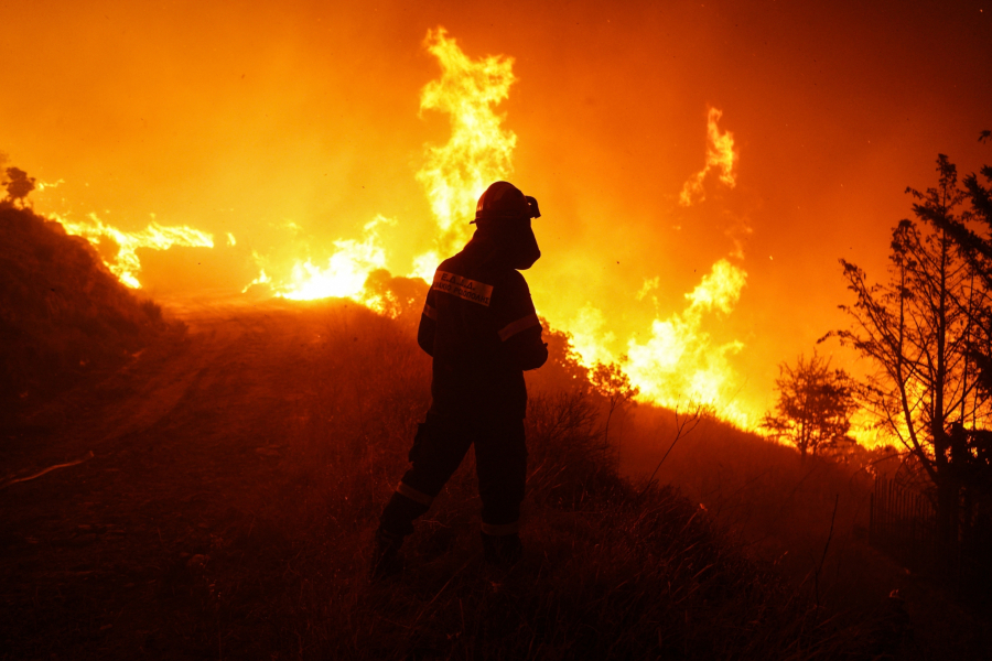 Τι είναι οι δασικές πυρκαγιές και πώς μπορούμε να προστατευτούμε; (Βίντεο)