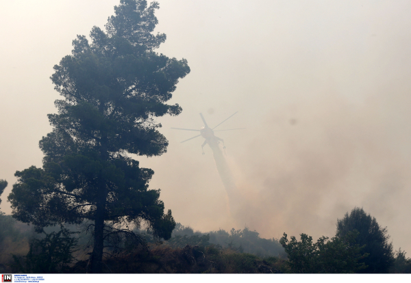 Ασπρόπυργος: Αποκαταστάθηκε η κυκλοφορία των οχημάτων στην περιοχή μετά από την πυρκαγιά