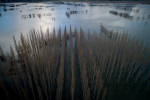 photo: Eurokinissi