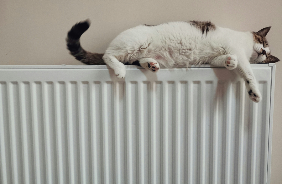 Υπομονή για τη δεύτερη δόση του επιδόματος θέρμανσης - Το χρονοδιάγραμμα πληρωμών