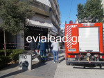 photo: evialead