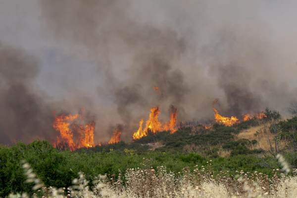 Φωτιά στο Στεφάνι Κορινθίας, ήχησε 112