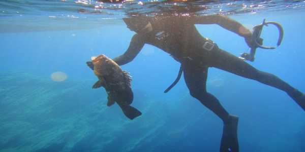 Καταργείται η άδεια ερασιτεχνικής αλείας