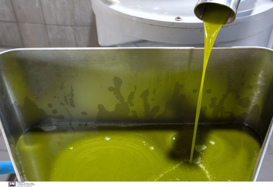 Ελληνικό ελαιόλαδο σε ερευνητικό projekt τριών πανεπιστημίων των ΗΠΑ για το Αλτσχάιμερ