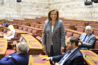 «Η... πεθερά της επιτροπής»