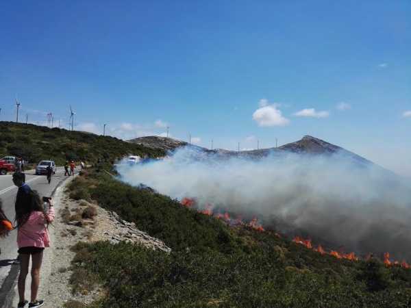 Ζημιές σε σπίτια από την πυρκαγιά στο Πόρτο Λάφια της Εύβοιας