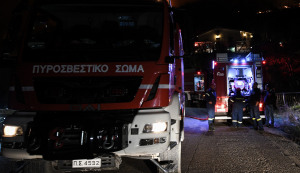 Χωρίς ενεργό μέτωπο η φωτιά στη Σαλαμίνα