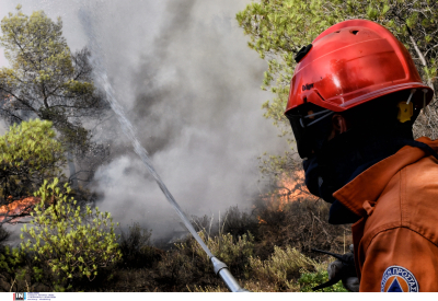 Πολύ υψηλός κίνδυνος πυρκαγιάς σε 3 περιφέρειες τη Δευτέρα 10 Ιουλίου