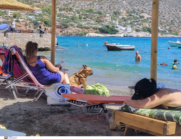 Ντόμινο το «κίνημα της πετσέτας» στα νησιά