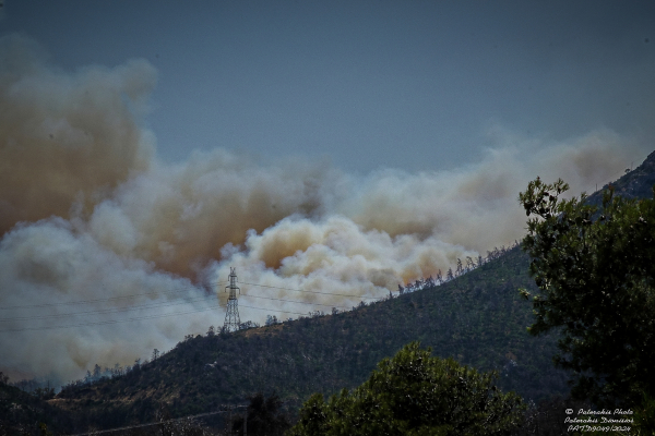 Φωτιά τώρα στην Πάρνηθα: Πότε πέφτουν οι άνεμοι