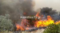 Φωτιά στην Κορινθία, κινητοποιήθηκαν επίγειες και εναέριες δυνάμεις (εικόνες - βίντεο)