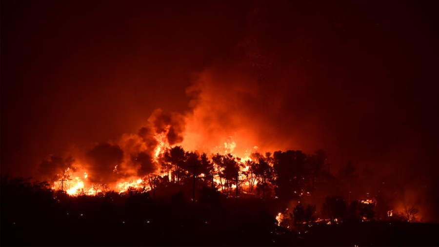 Φωτιά τώρα στη Γόρτυνα Ηρακλείου, 88 πυροσβέστες στην μάχη με τις φλόγες