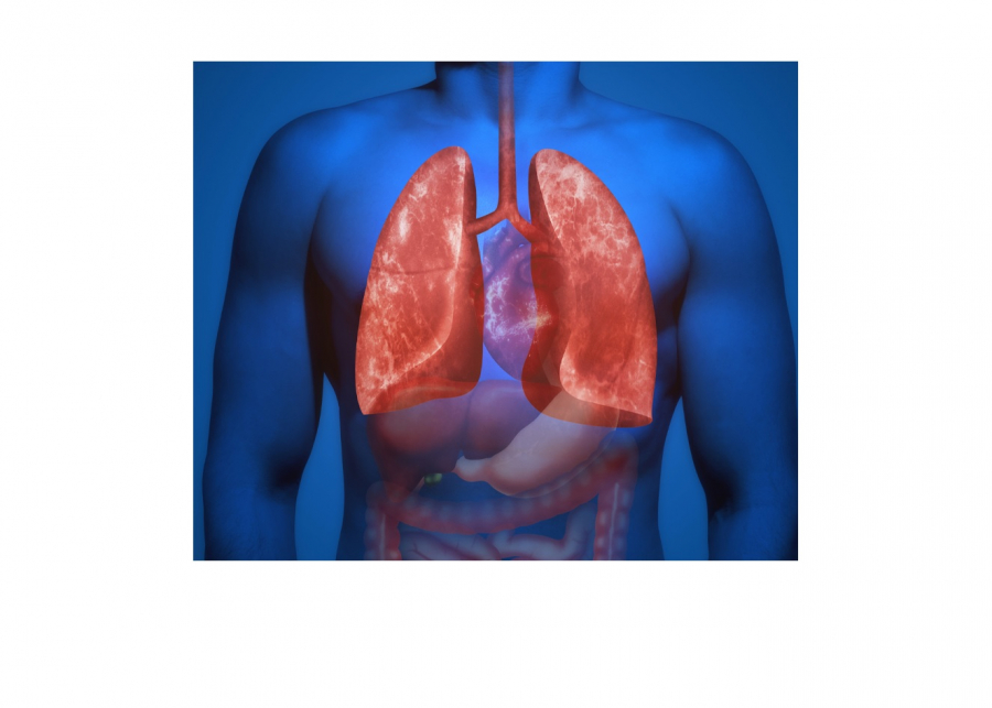 Διαγνωστική εξέταση θώρακος χωρίς ακτινοβολία