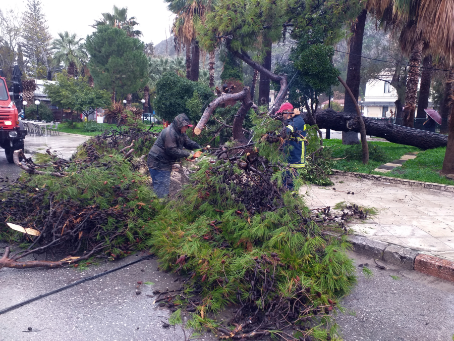 Πτώση δέντρου σε αυτοκίνητο στην Κηφισιά
