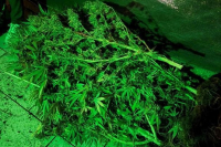 Γαλάτσι: Τρεις συλλήψεις για ναρκωτικά