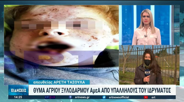 Θεσσαλονίκη: Σοκάρουν οι αποκαλύψεις για τις συνθήκες θανάτου ΑμεΑ σε ίδρυμα (βίντεο)